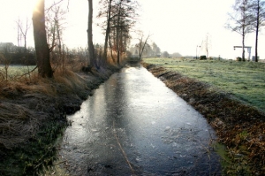 irrigation canal