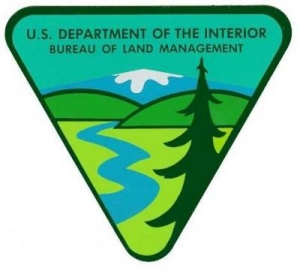 BLM logo