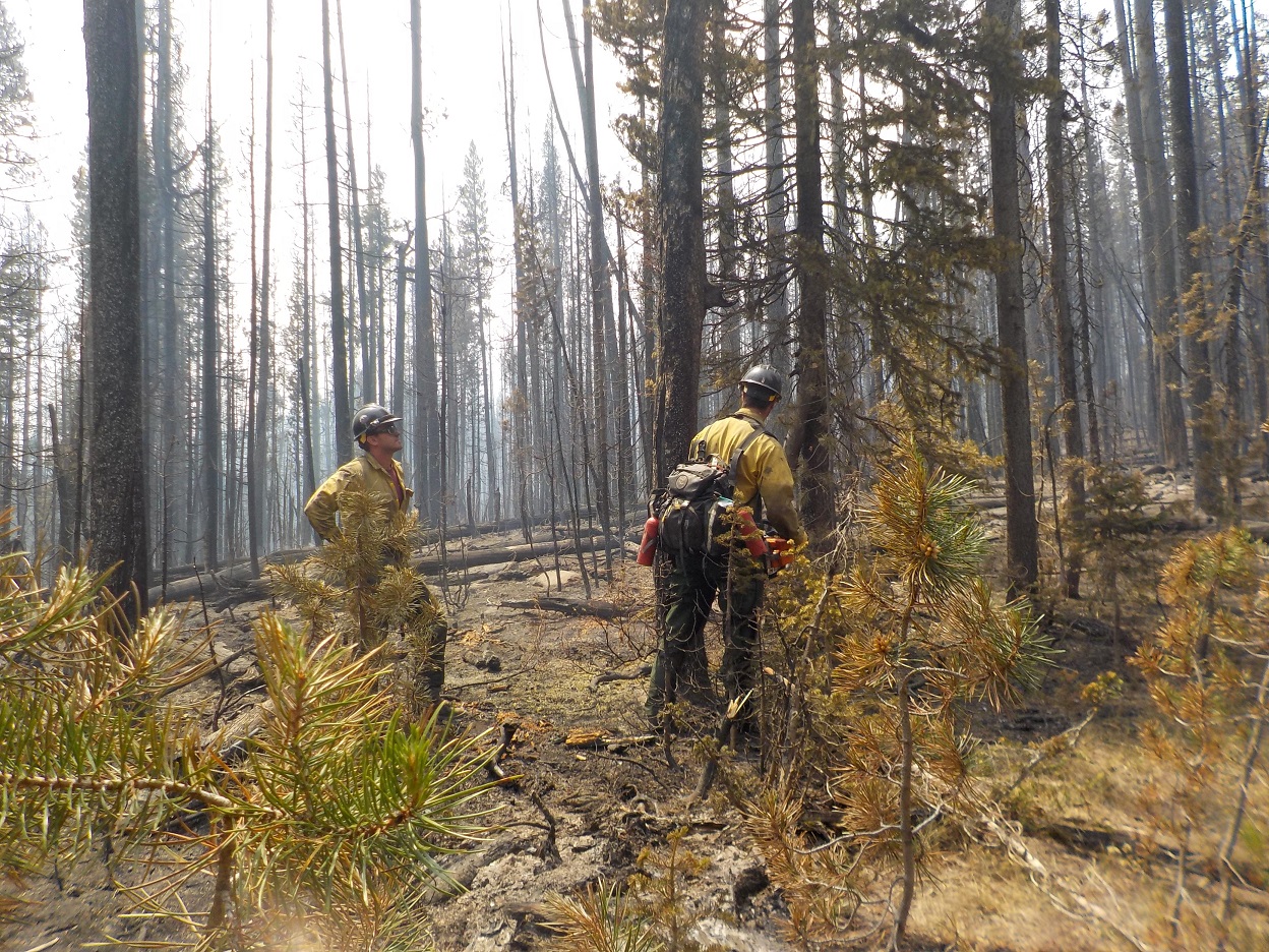 The Buck Fire Is Now 25% Contained | KBOI 93.1FM & 670AM